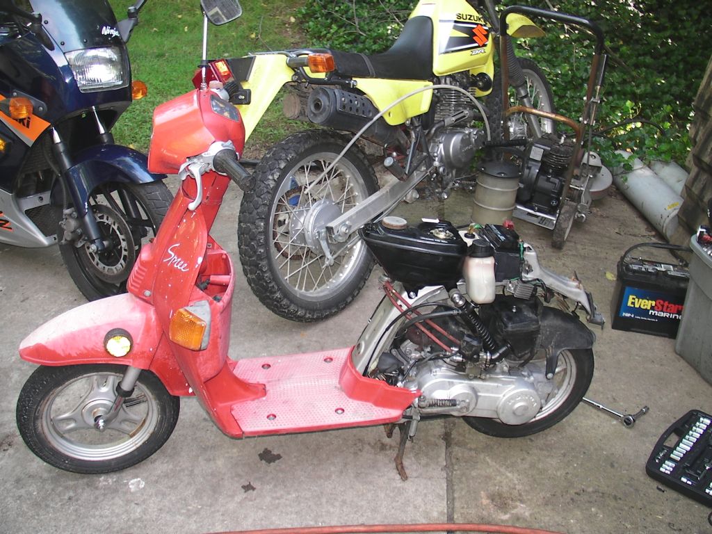 Spree Honda